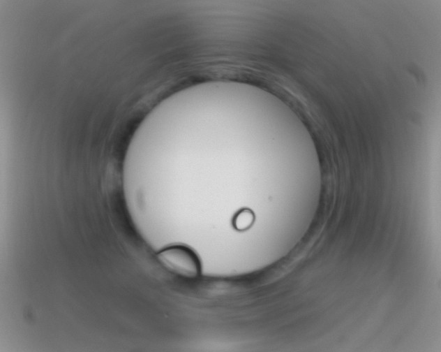 X0000114720467200910211055