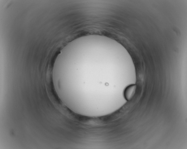 X0000114720468200910211055