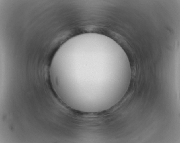 X0000114720470200910211055