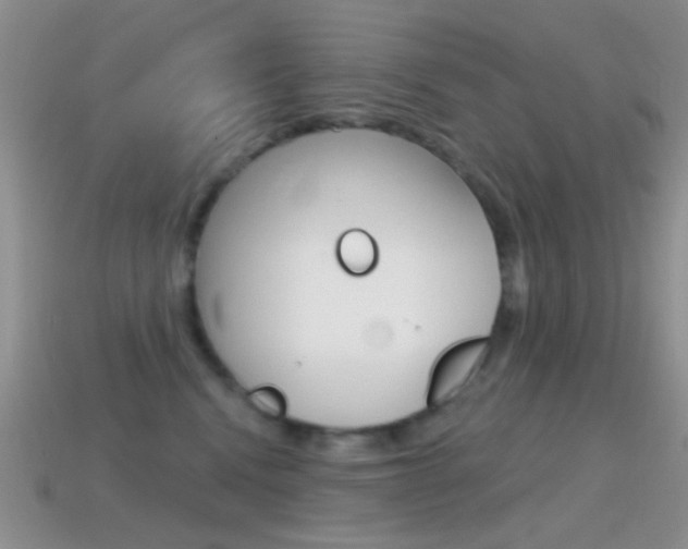 X0000114720472200910211055