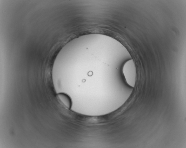 X0000114720473200910211055