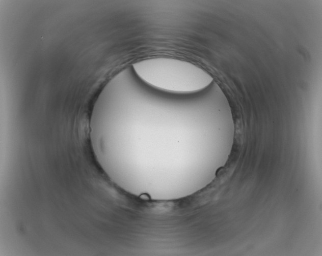 X0000114720474200910211055