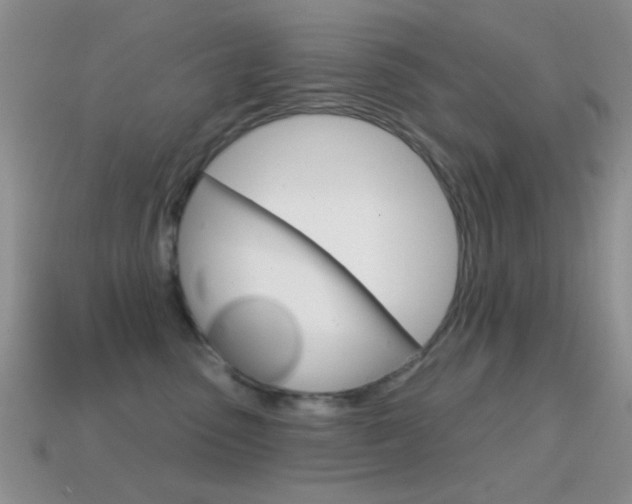 X0000114720475200910211055