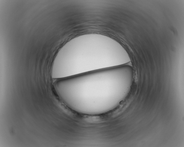 X0000114720476200910211055