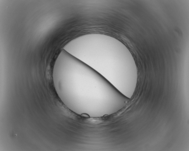 X0000114720477200910211055