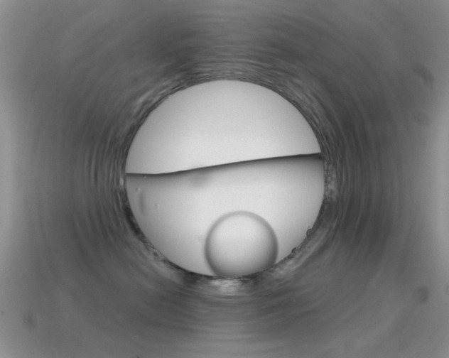 X0000114720478200910211055