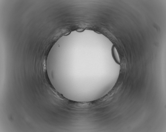 X0000114720479200910211055