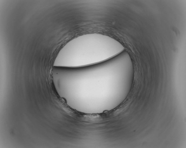 X0000114720480200910211055