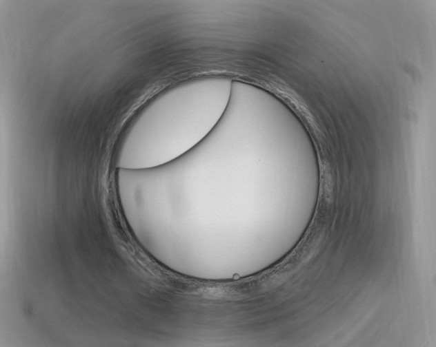 X0000114720482200910211055