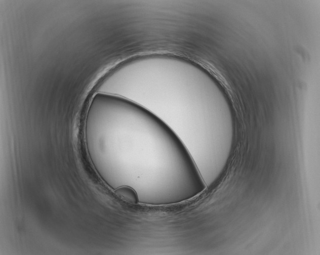 X0000114720483200910211055