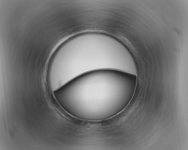 X0000114720484200910211055