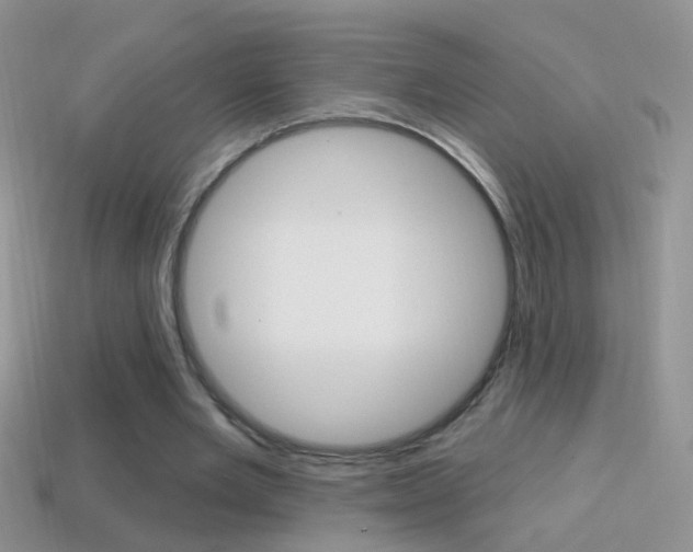 X0000114720485200910211055