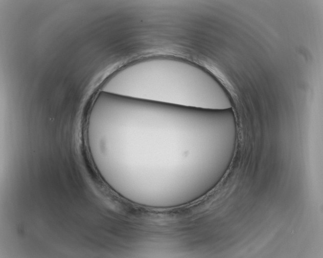 X0000114720486200910211055