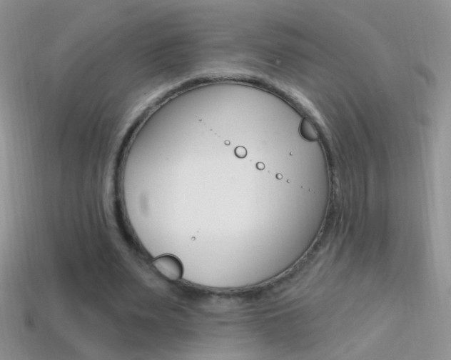 X0000114720487200910211055