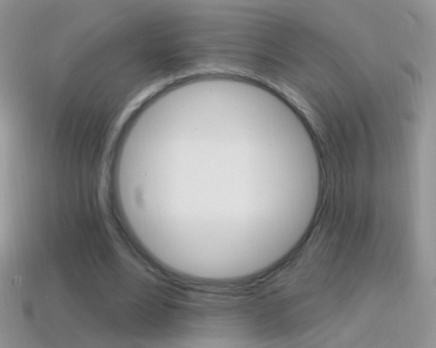 X0000114720488200910211055