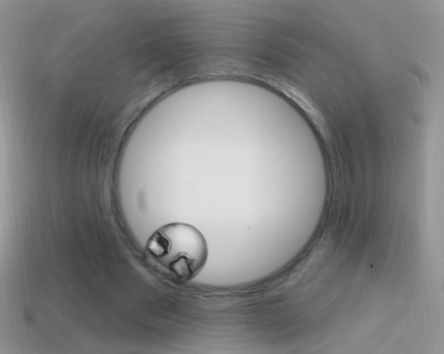 X0000114720489200910211055