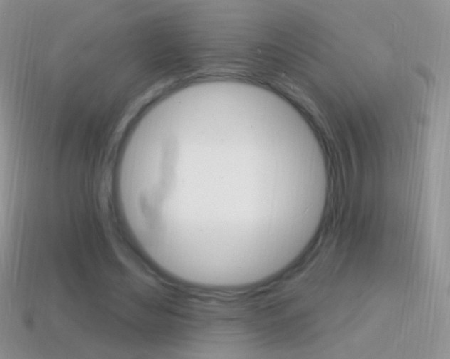 X0000114720492200910211055