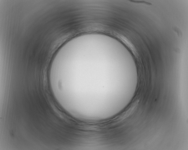 X0000114720493200910211055