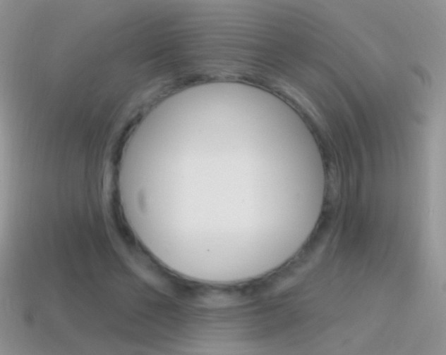 X0000114720494200910211055