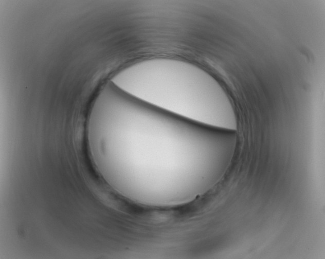 X0000114720495200910211055