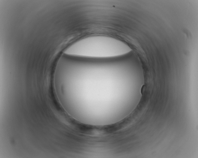 X0000114720496200910211055