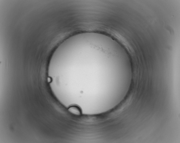 X0000114720497200910211054