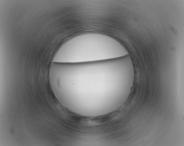 X0000114720498200910211054