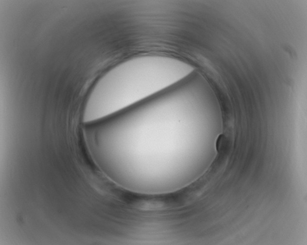 X0000114720500200910211054