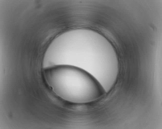 X0000114720501200910211054