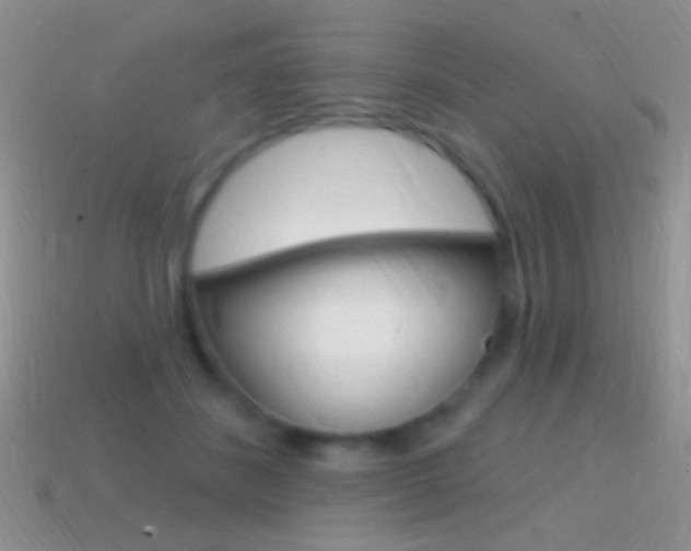 X0000114720508200910211054