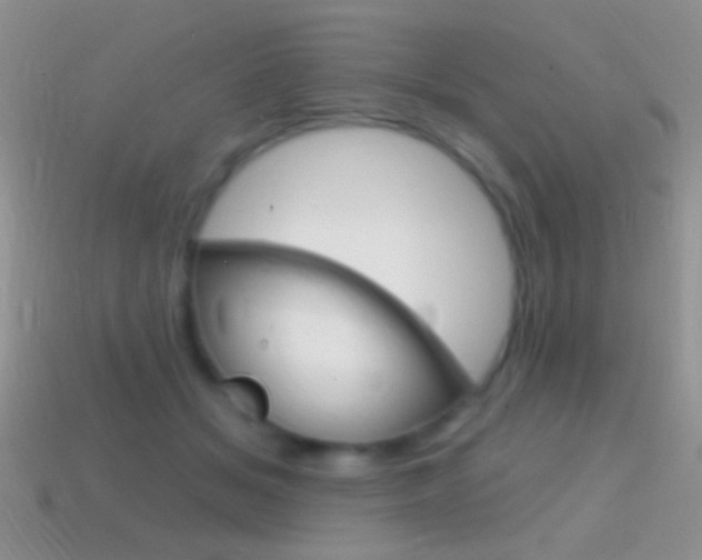 X0000114720509200910211054