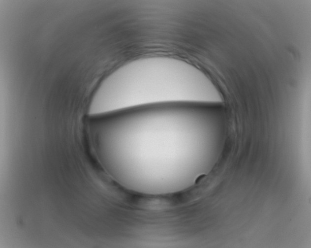 X0000114720512200910211054