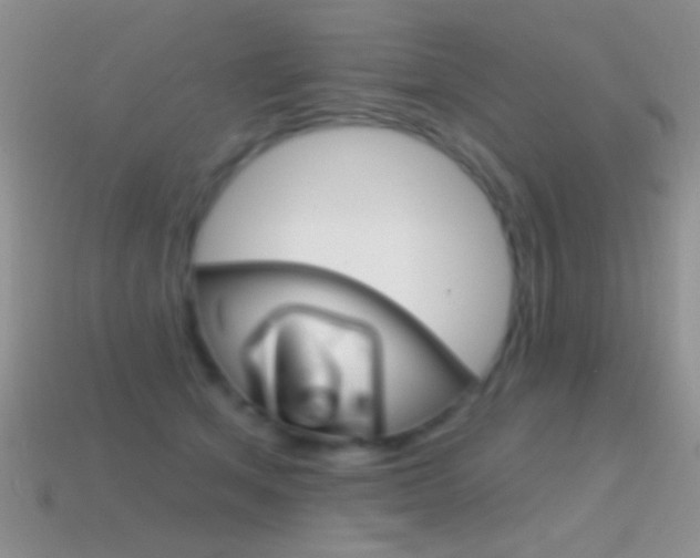 X0000114720513200910211054