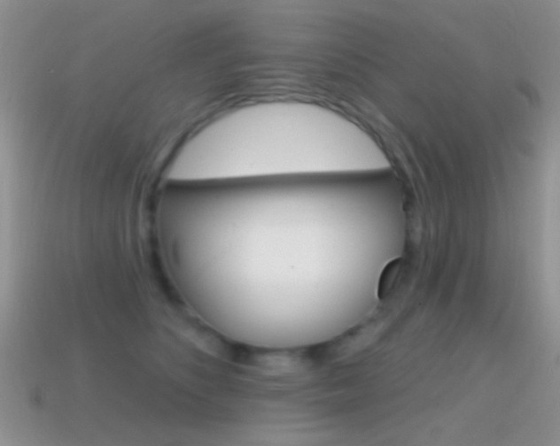 X0000114720516200910211054