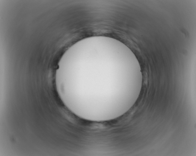 X0000114720519200910211054