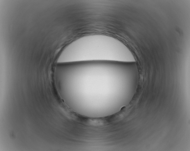 X0000114720520200910211054