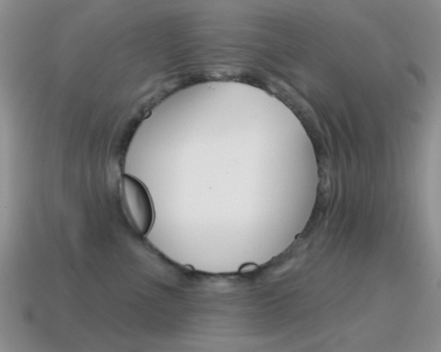 X0000114720523200910211054