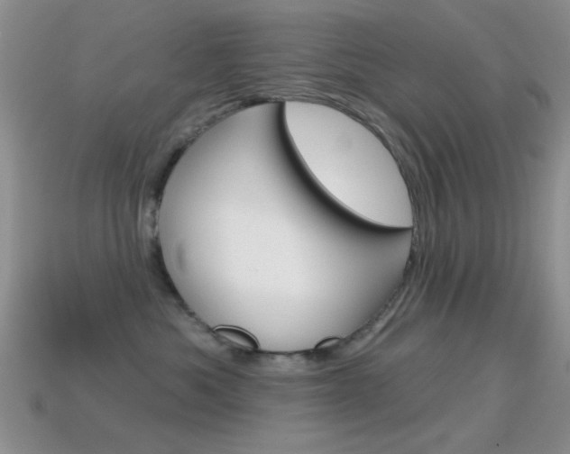 X0000114720525200910211054