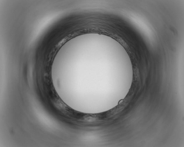 X0000114720526200910211054