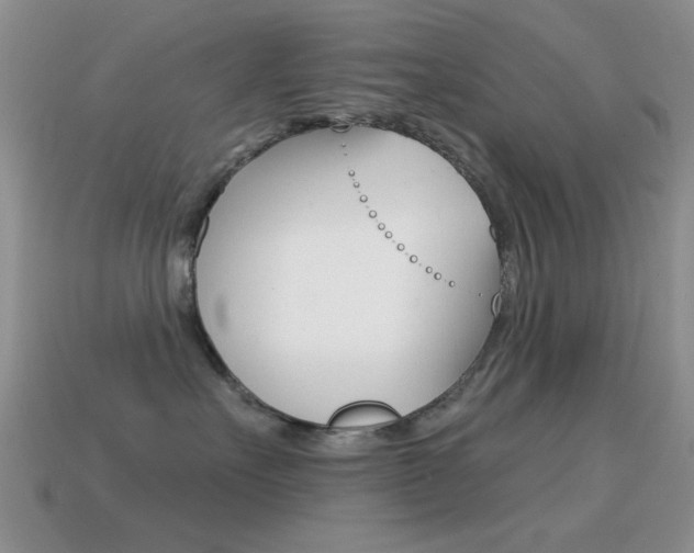 X0000114720527200910211054