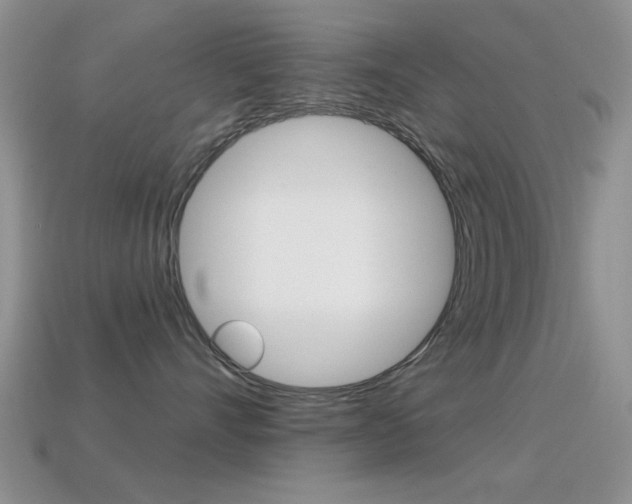 X0000114720528200910211054