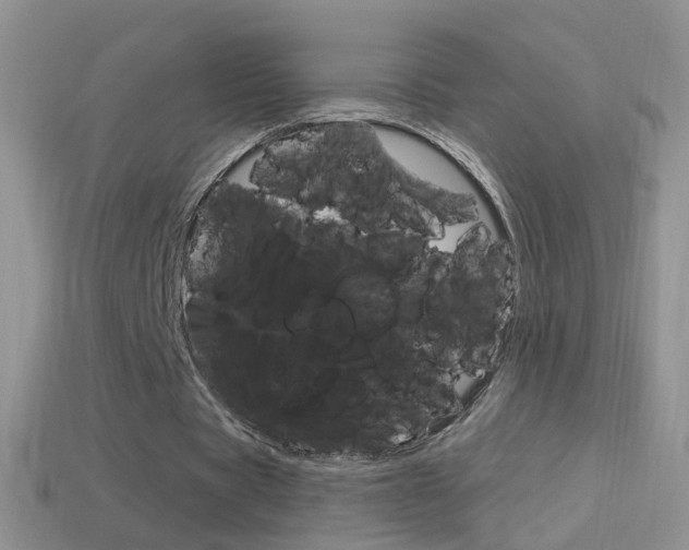 X0000114720529200910211053