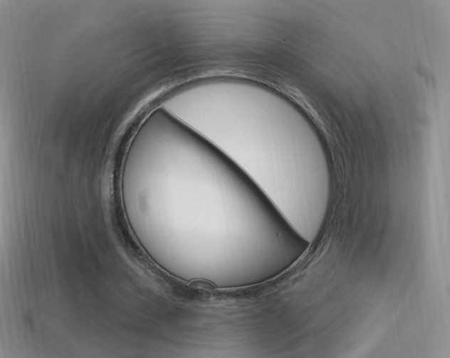 X0000114720531200910211054