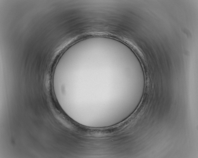 X0000114720533200910211054