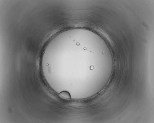 X0000114720537200910211054