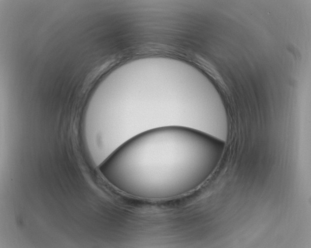X0000114720538200910211054