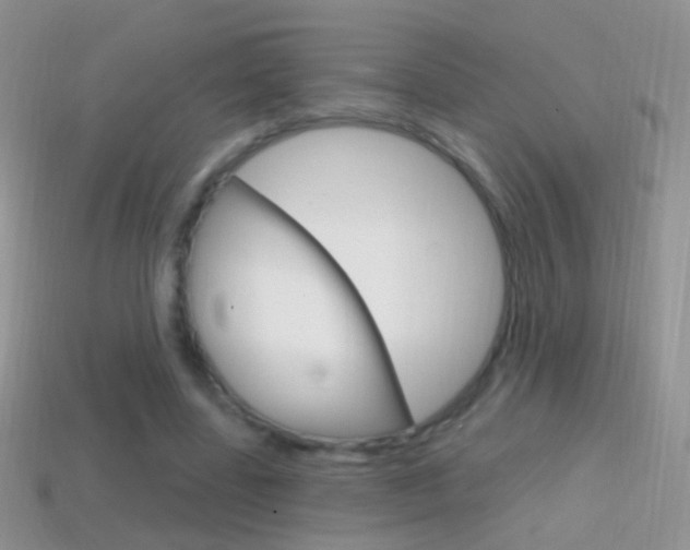 X0000114720539200910211054