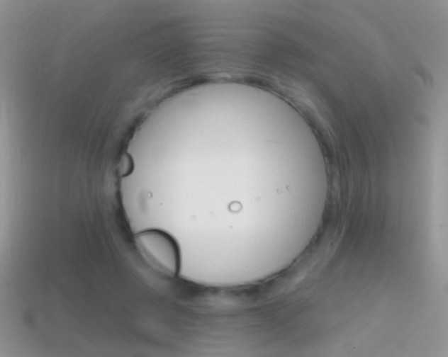 X0000114720545200910211054