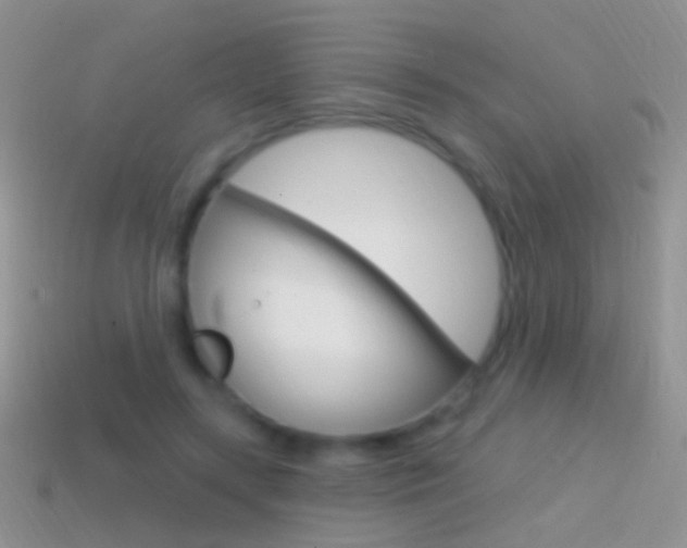 X0000114720547200910211054