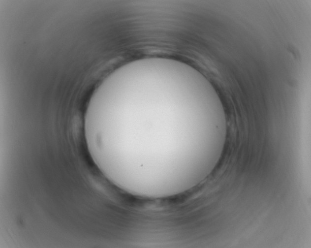 X0000114720550200910211054